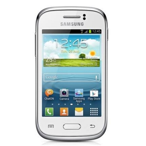 Samsung Galaxy Young S6310 Virenschutz & Virenscanner